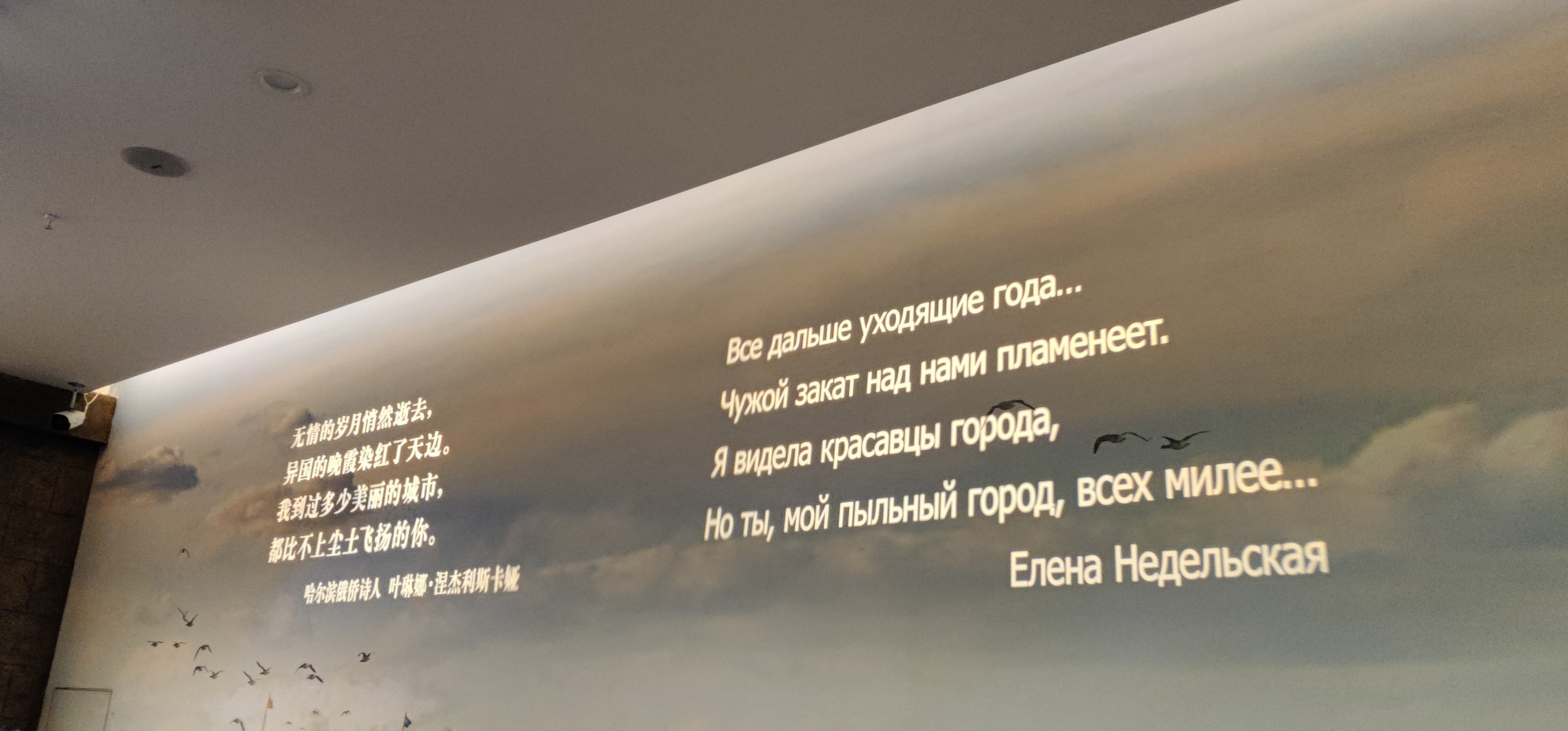 龙博展厅上的诗